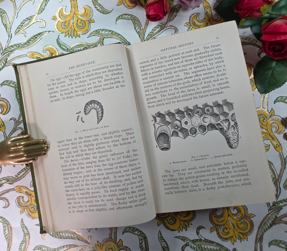 1884 The Honey-Bee - Its Nature, Homes and Products - Illustrated Antique Book