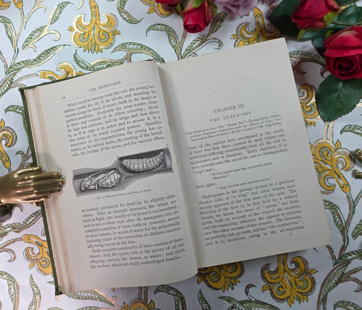 1884 The Honey-Bee - Its Nature, Homes and Products - Illustrated Antique Book