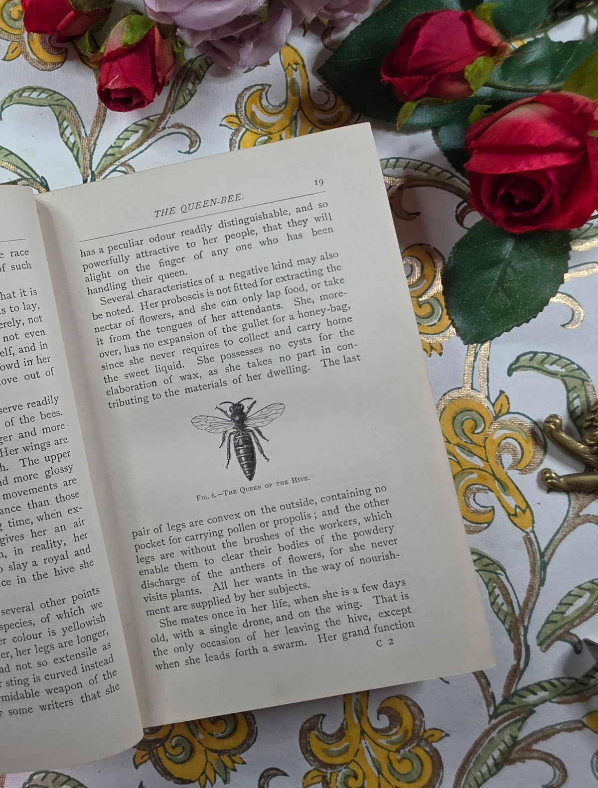 1884 The Honey-Bee - Its Nature, Homes and Products - Illustrated Antique Book
