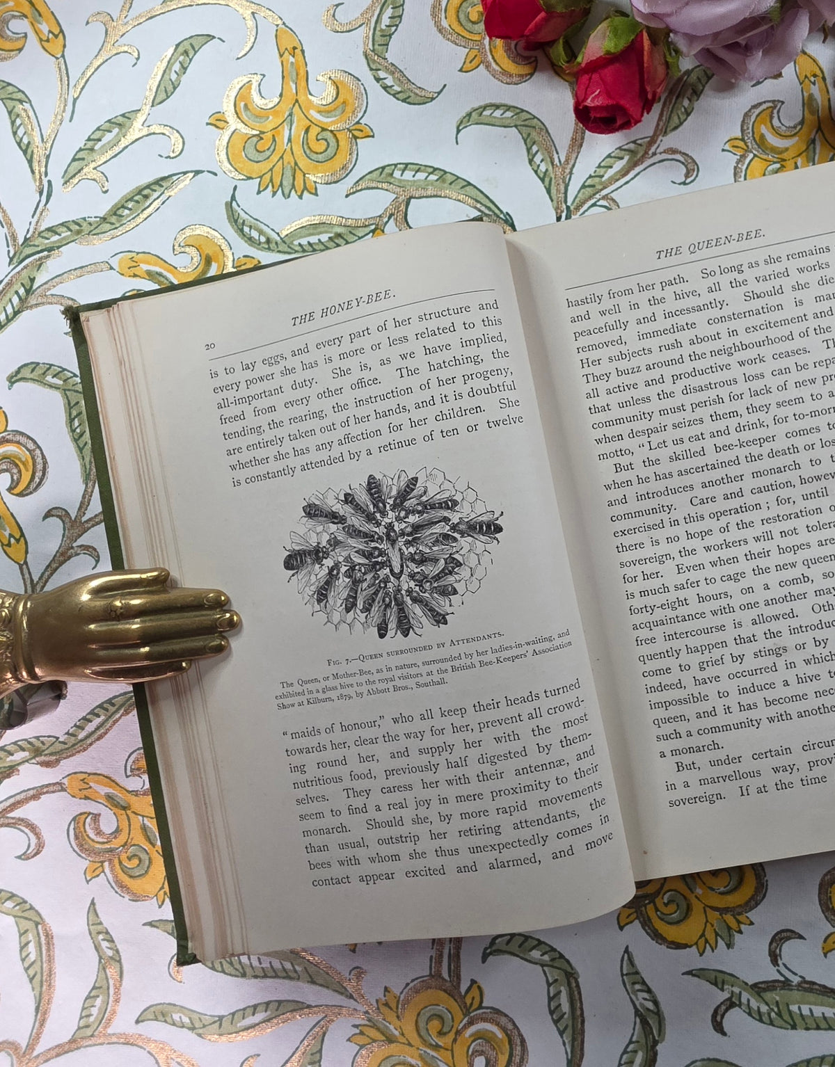 1884 The Honey-Bee - Its Nature, Homes and Products - Illustrated Antique Book