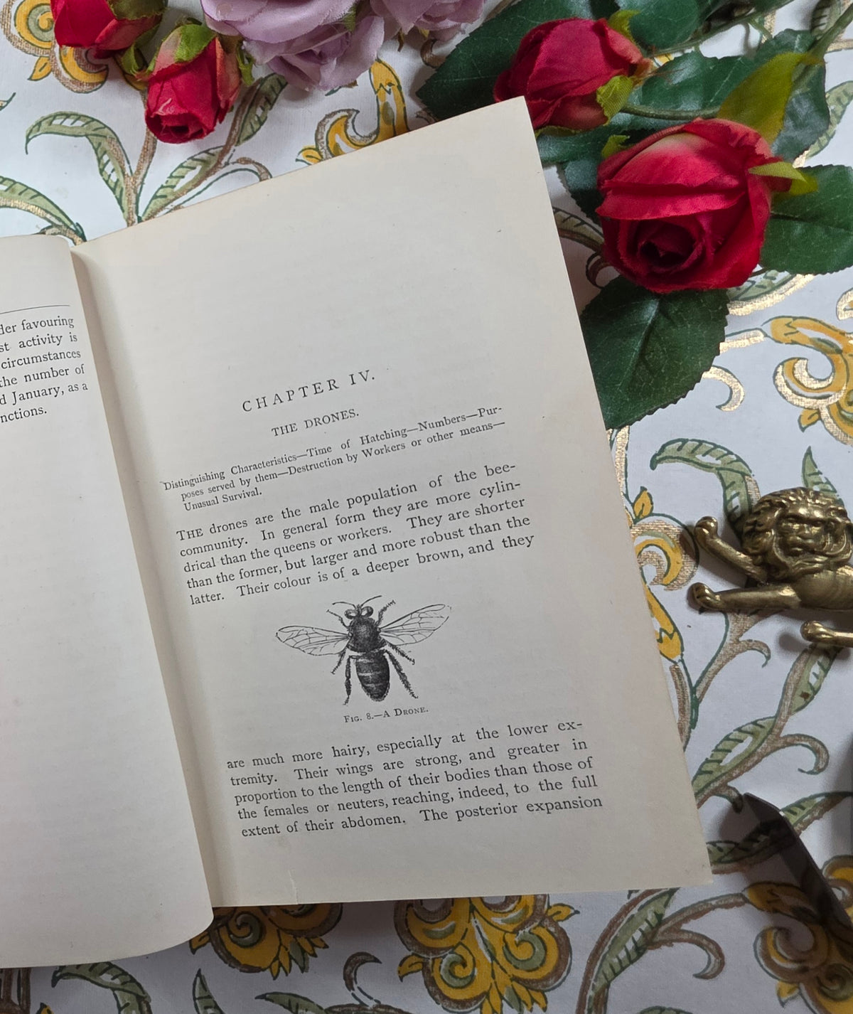 1884 The Honey-Bee - Its Nature, Homes and Products - Illustrated Antique Book