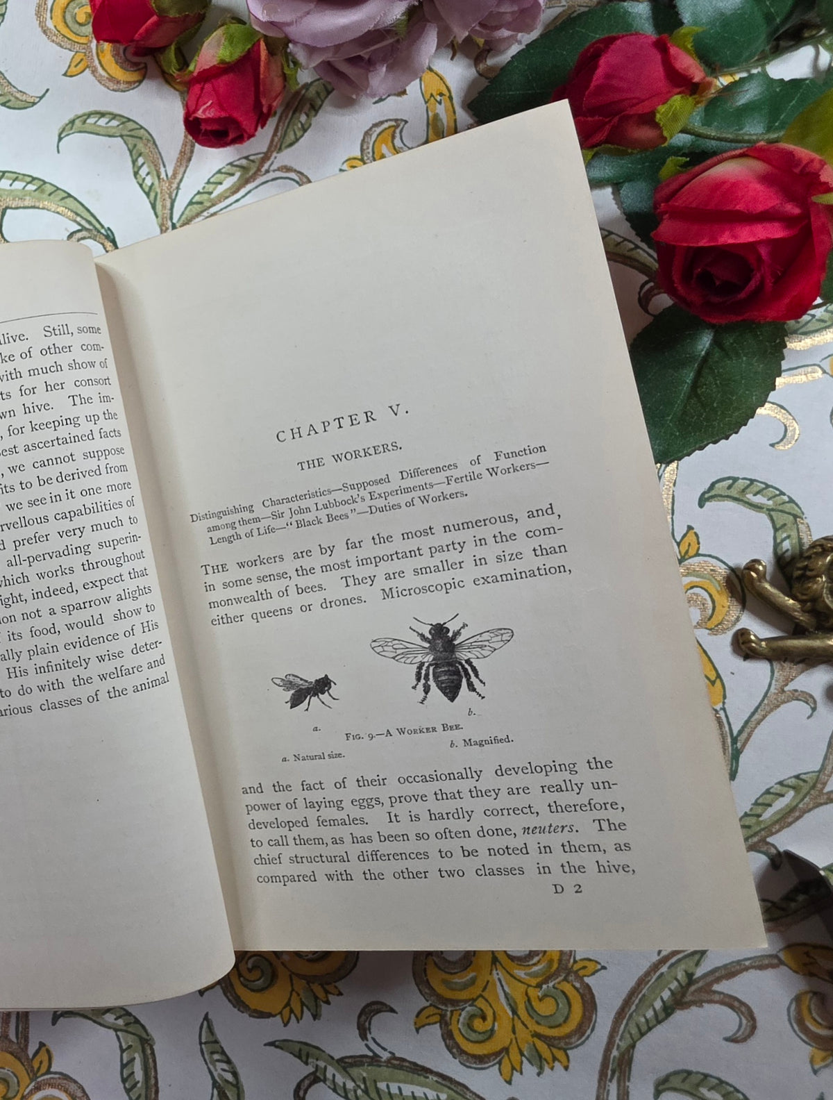 1884 The Honey-Bee - Its Nature, Homes and Products - Illustrated Antique Book