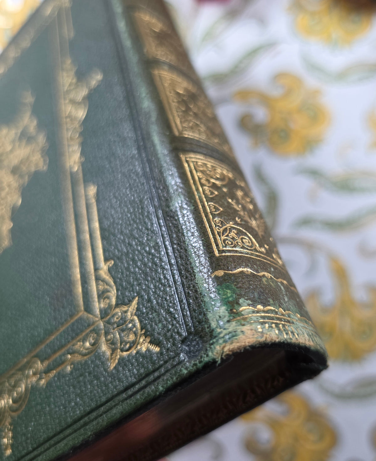 1843 Our Wild Flowers by Twamley - Illustrated Antique Book