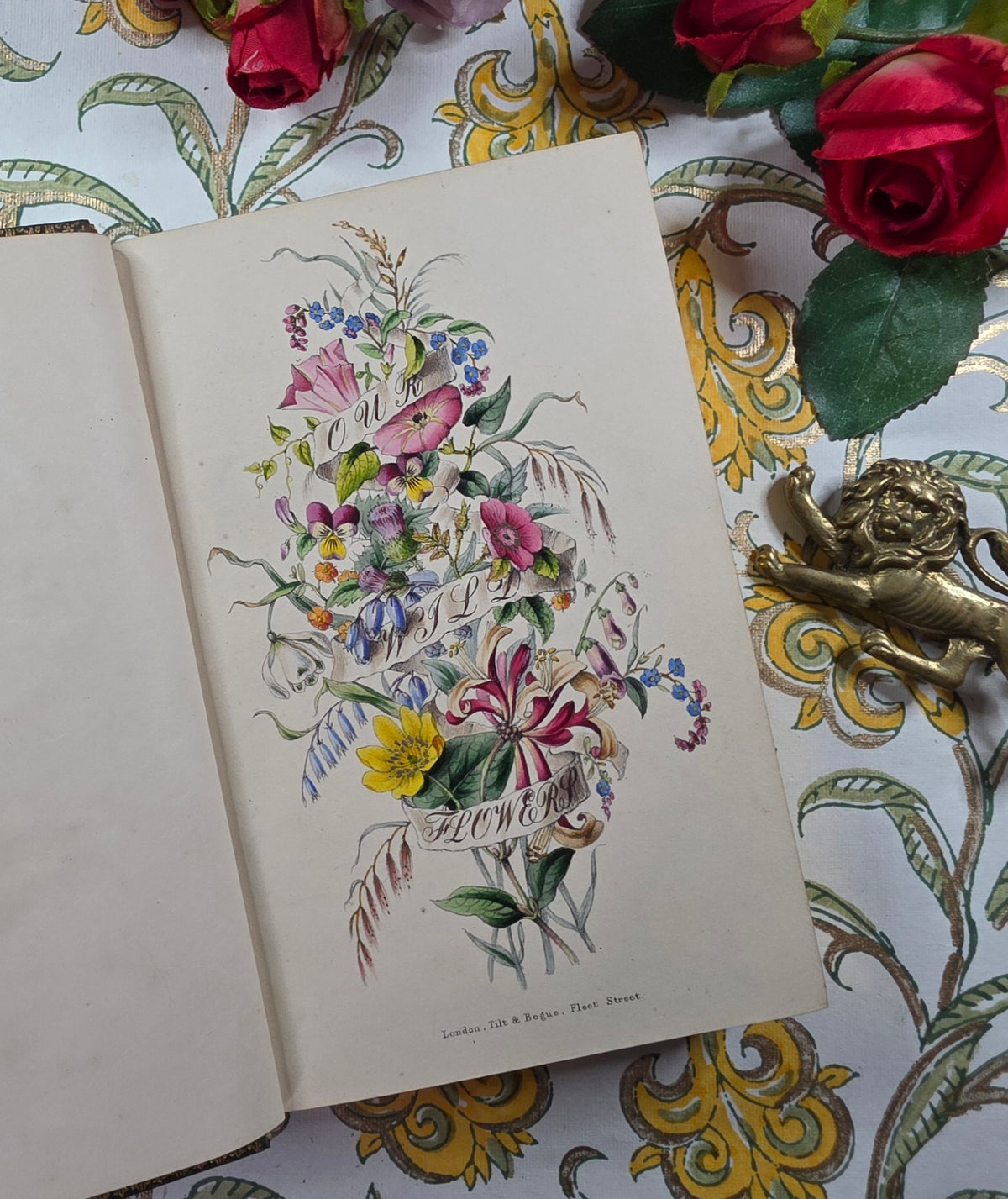 1843 Our Wild Flowers by Twamley - Illustrated Antique Book