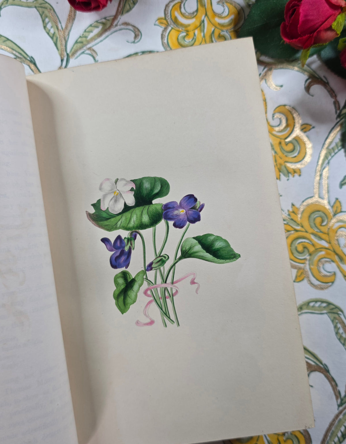 1843 Our Wild Flowers by Twamley - Illustrated Antique Book