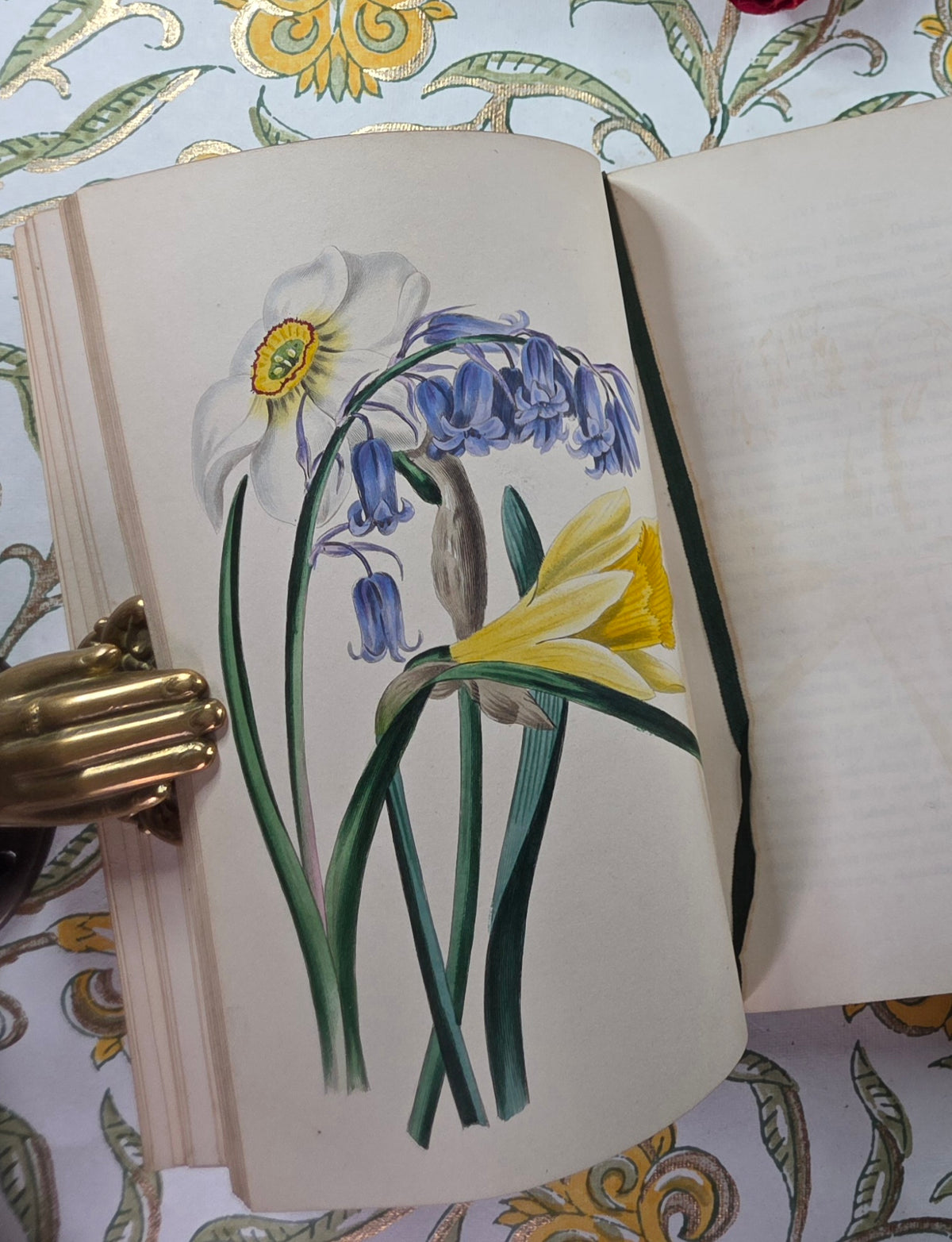 1843 Our Wild Flowers by Twamley - Illustrated Antique Book