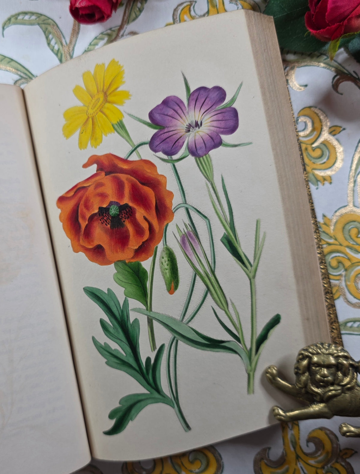 1843 Our Wild Flowers by Twamley - Illustrated Antique Book
