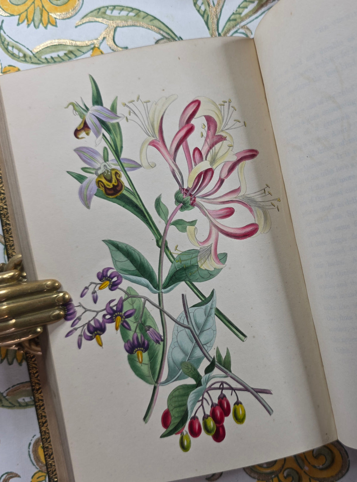 1843 Our Wild Flowers by Twamley - Illustrated Antique Book