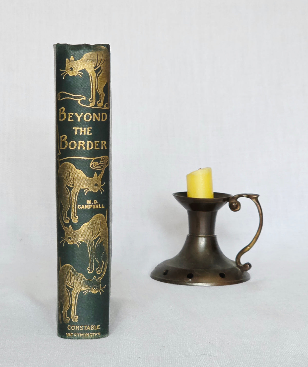 1898 Beyond the Border by Walter Douglas Campbell / Beautiful Boards / Richly Illustrated by Helen Stratton