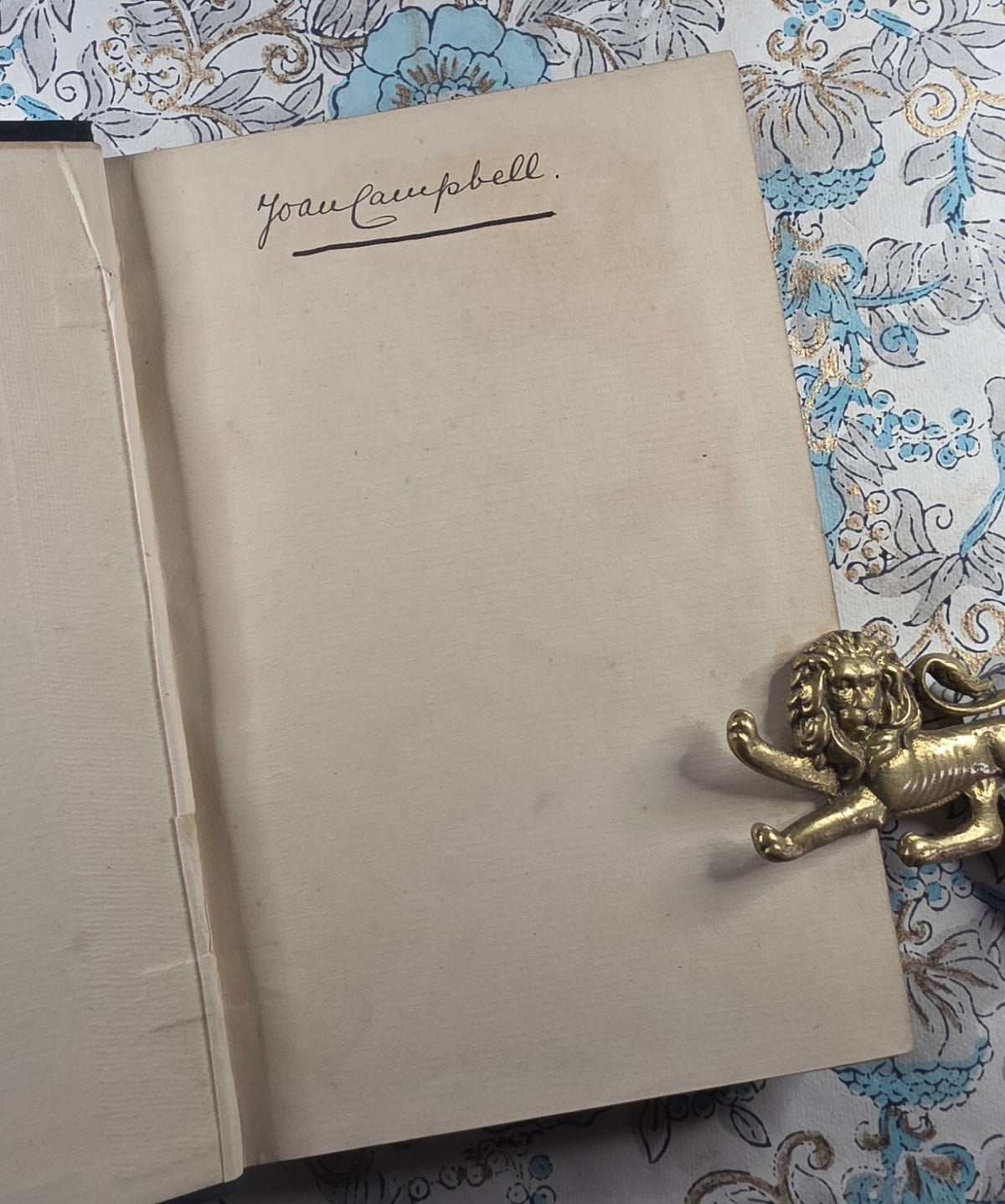 1898 Beyond the Border by Walter Douglas Campbell / Beautiful Boards / Richly Illustrated by Helen Stratton
