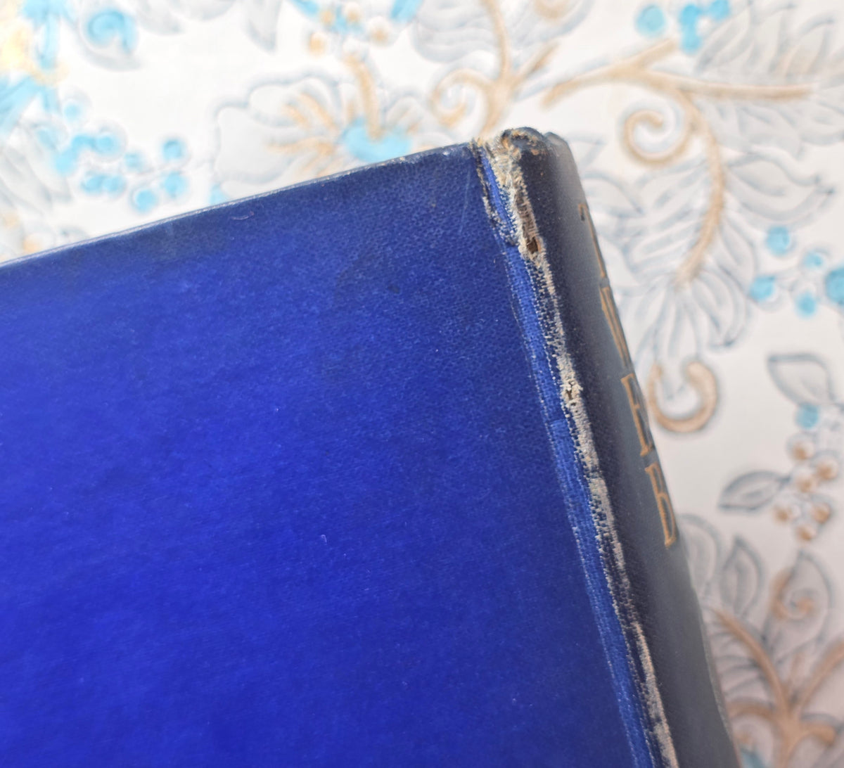 1907 1st Edition - The Welsh Fairy Book - Illustrated Antique Book
