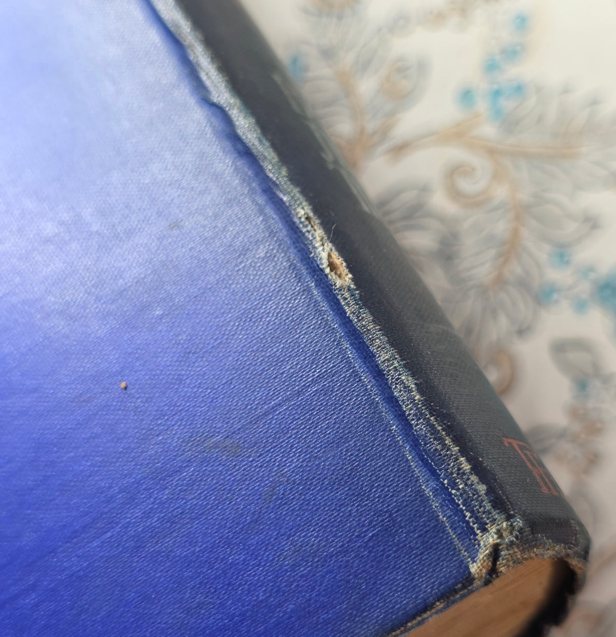 1907 1st Edition - The Welsh Fairy Book - Illustrated Antique Book