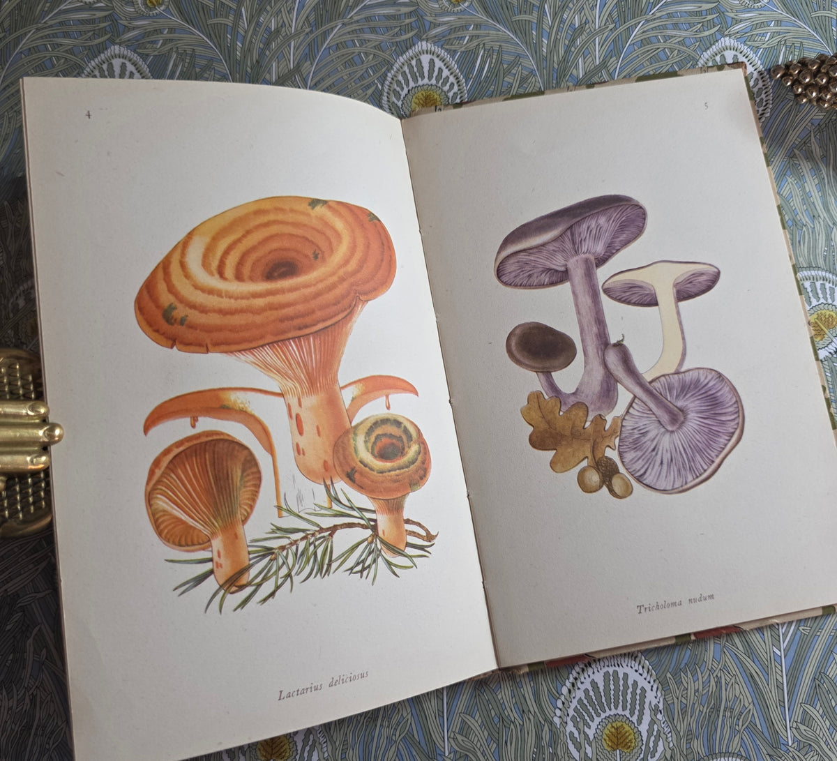 1943 Edible Fungi by John Ramsbottom / King Penguin, London / First Edition / 16 Superb Full-Page Colour Plates / King Penguin Number 13