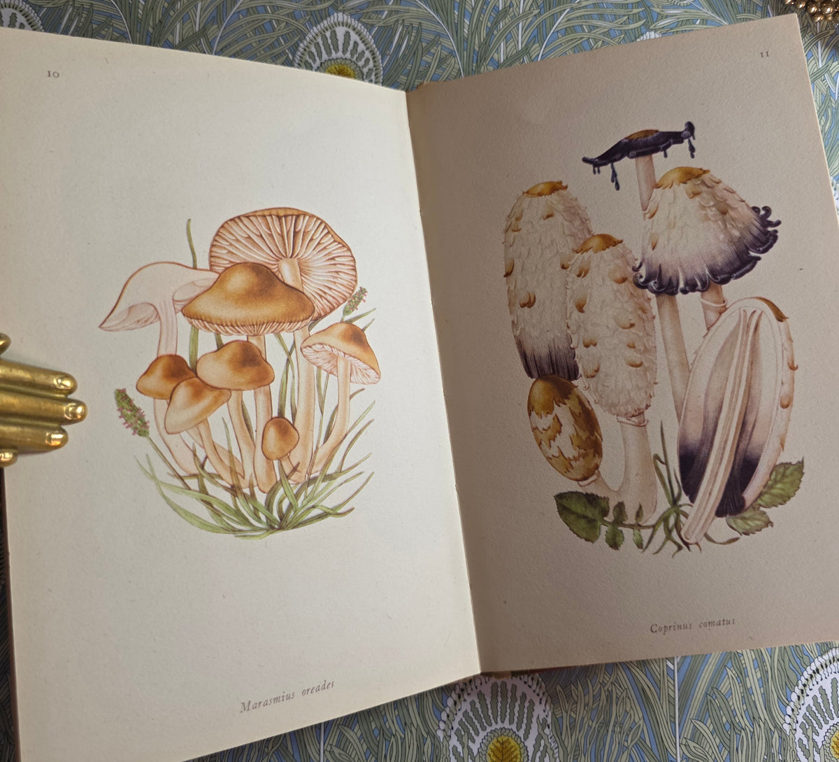 1943 Edible Fungi by John Ramsbottom / King Penguin, London / First Edition / 16 Superb Full-Page Colour Plates / King Penguin Number 13