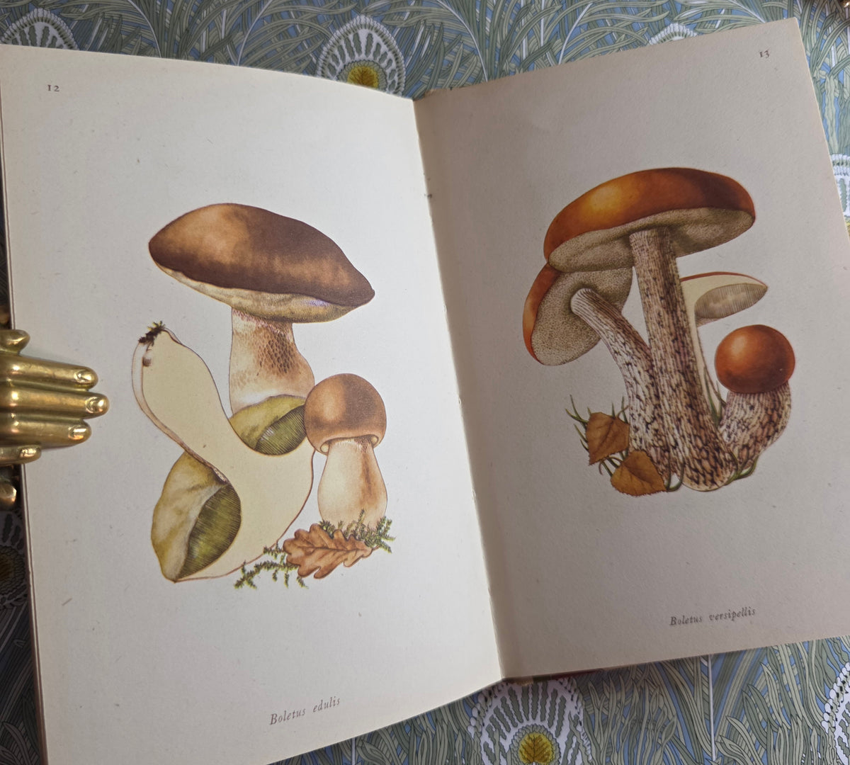 1943 Edible Fungi by John Ramsbottom / King Penguin, London / First Edition / 16 Superb Full-Page Colour Plates / King Penguin Number 13
