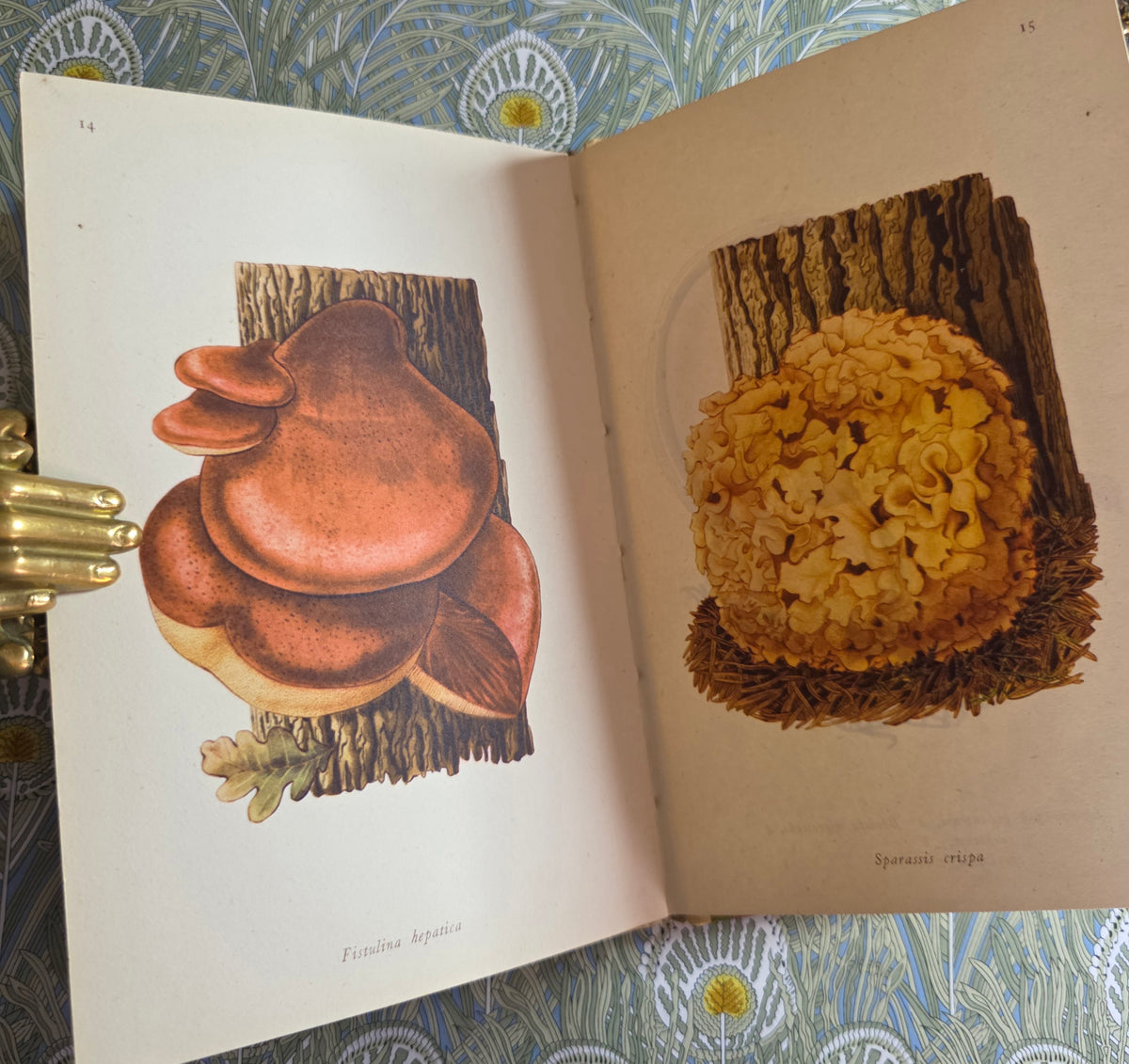 1943 Edible Fungi by John Ramsbottom / King Penguin, London / First Edition / 16 Superb Full-Page Colour Plates / King Penguin Number 13