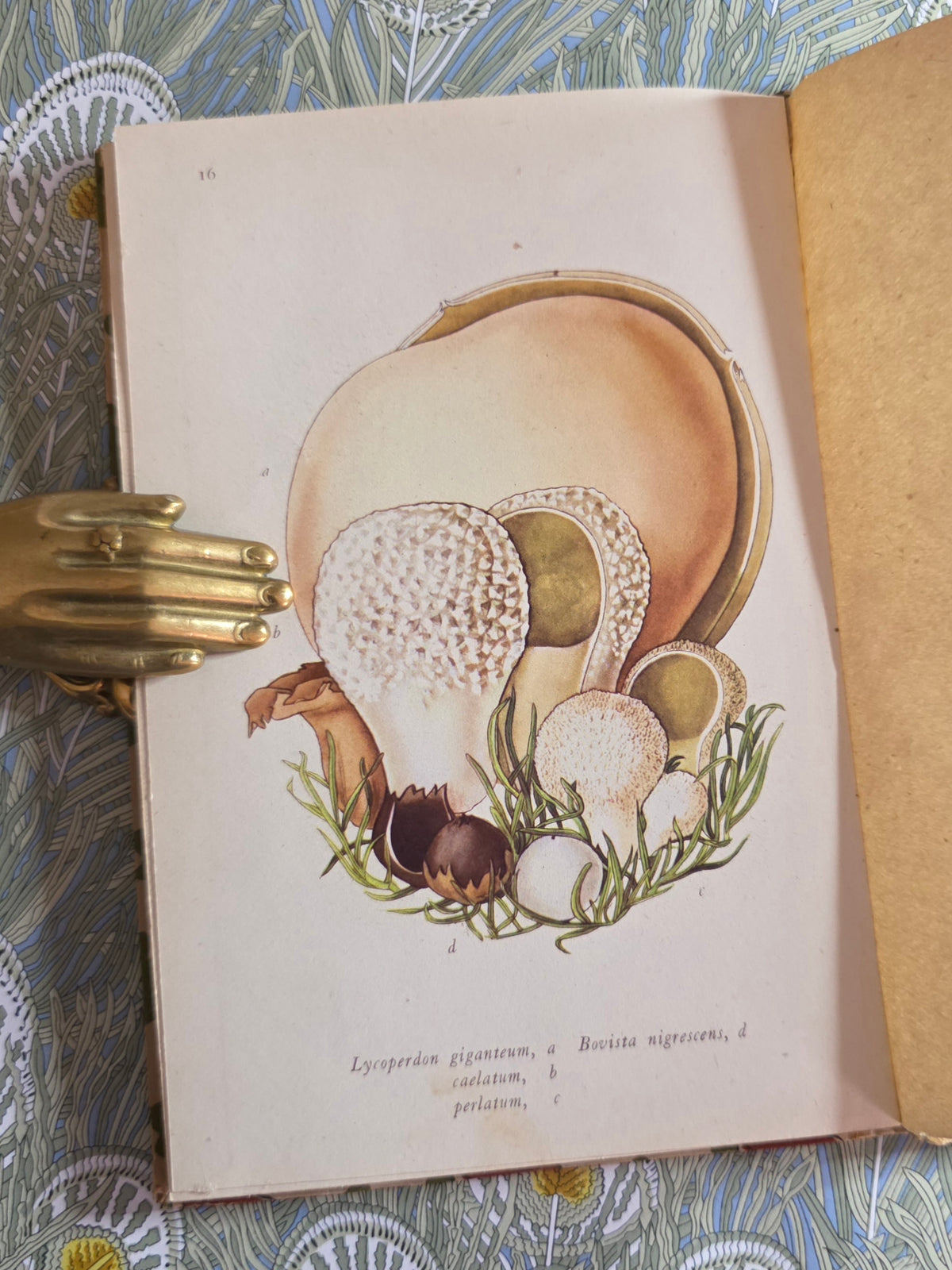 1943 Edible Fungi by John Ramsbottom / King Penguin, London / First Edition / 16 Superb Full-Page Colour Plates / King Penguin Number 13