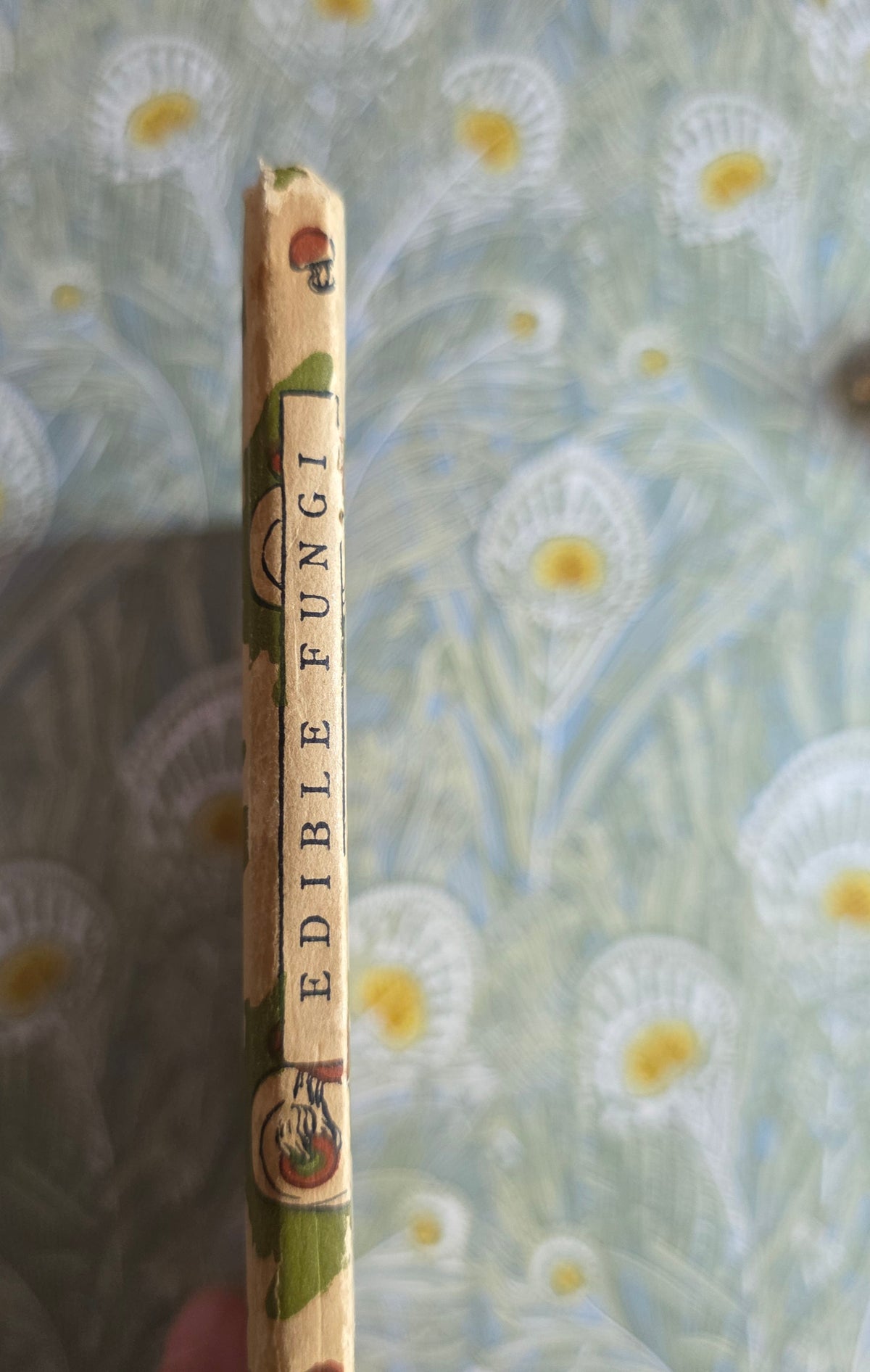 1943 Edible Fungi by John Ramsbottom / King Penguin, London / First Edition / 16 Superb Full-Page Colour Plates / King Penguin Number 13