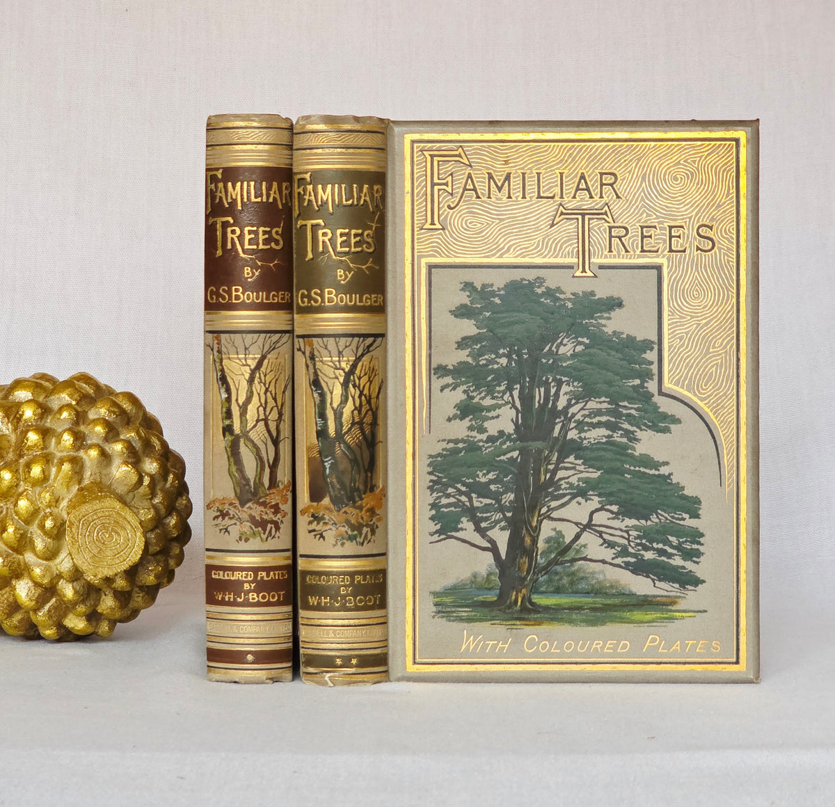 1885-1888 Familiar Trees in Two Series by GS Boulger - Illustrated Antique Books