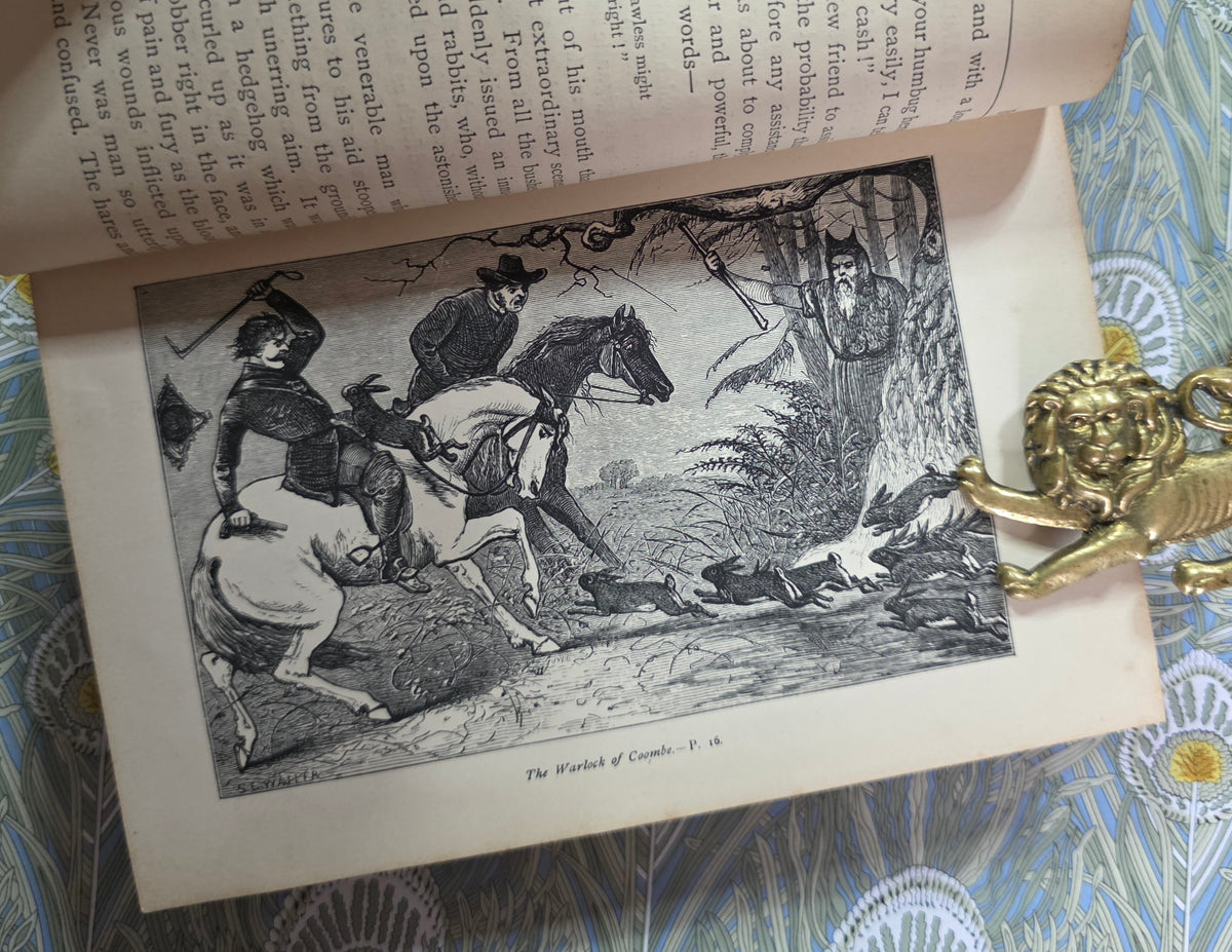 1874 Queer Folk by EH Knatchbull-Hugessen - Illustrated Antique Book