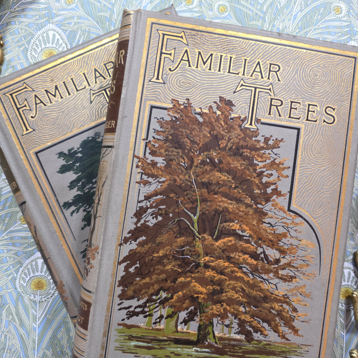 1885-1888 Familiar Trees in Two Series by GS Boulger - Illustrated Antique Books