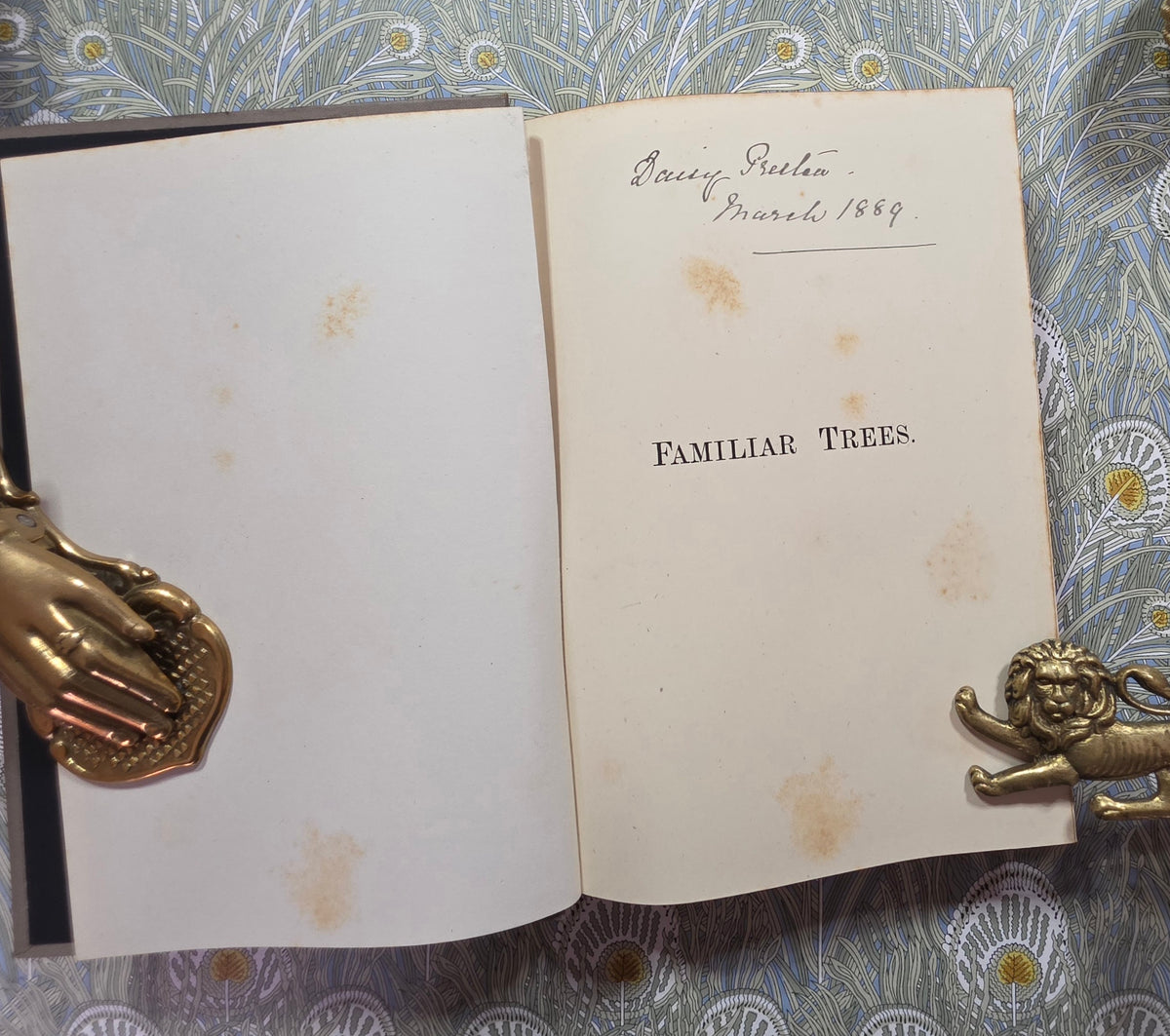 1885-1888 Familiar Trees in Two Series by GS Boulger - Illustrated Antique Books