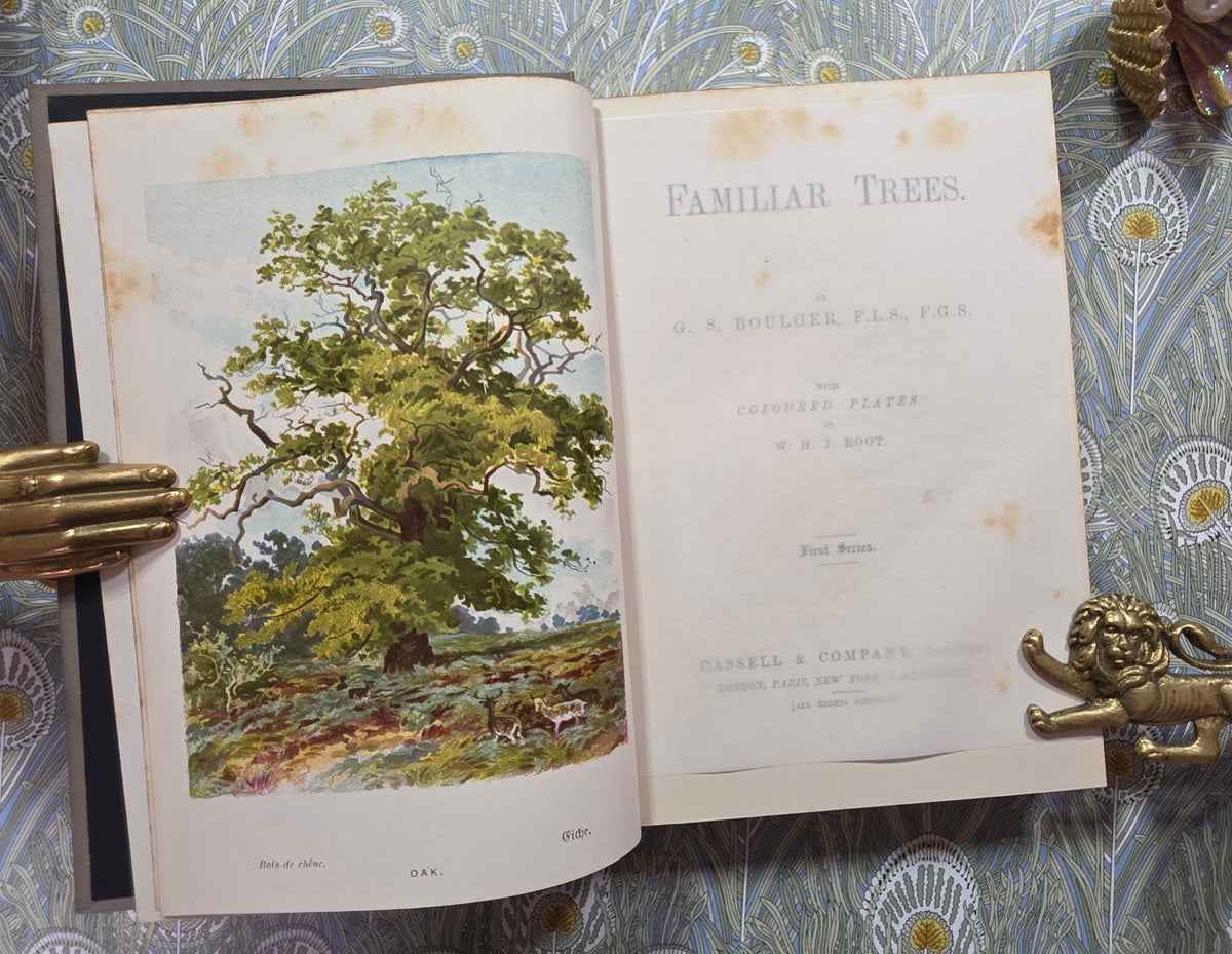 1885-1888 Familiar Trees in Two Series by GS Boulger - Illustrated Antique Books