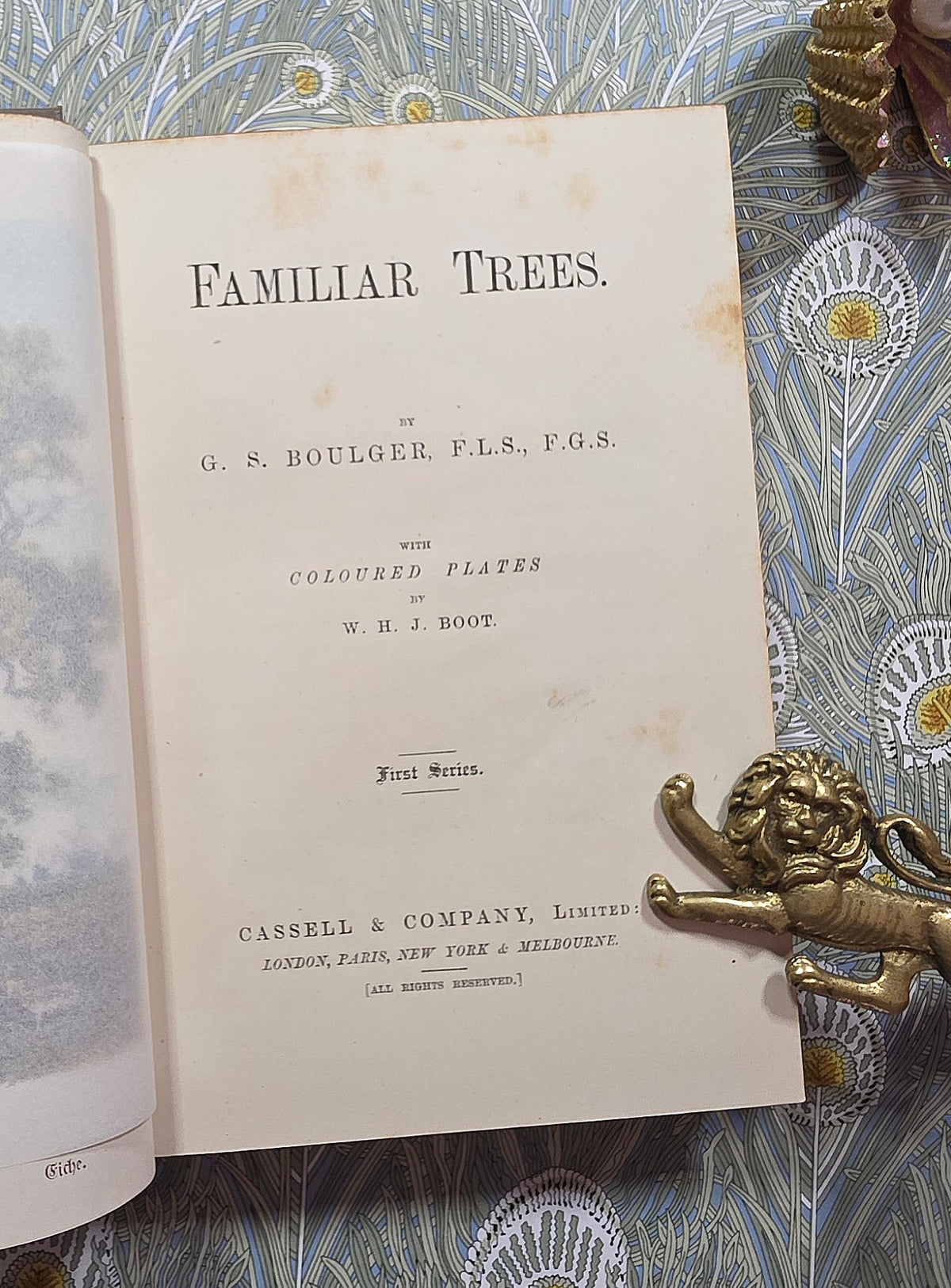 1885-1888 Familiar Trees in Two Series by GS Boulger - Illustrated Antique Books