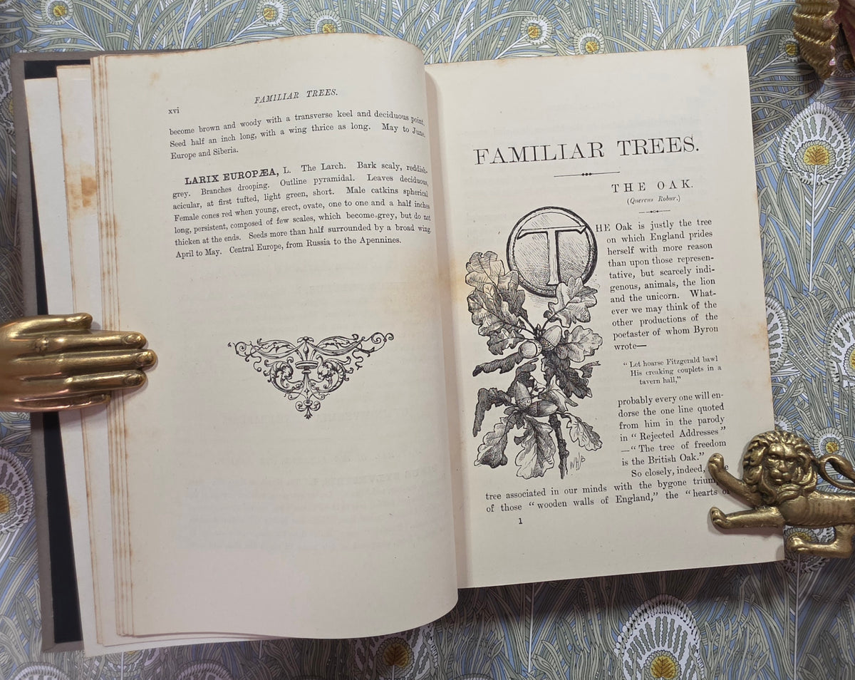 1885-1888 Familiar Trees in Two Series by GS Boulger - Illustrated Antique Books