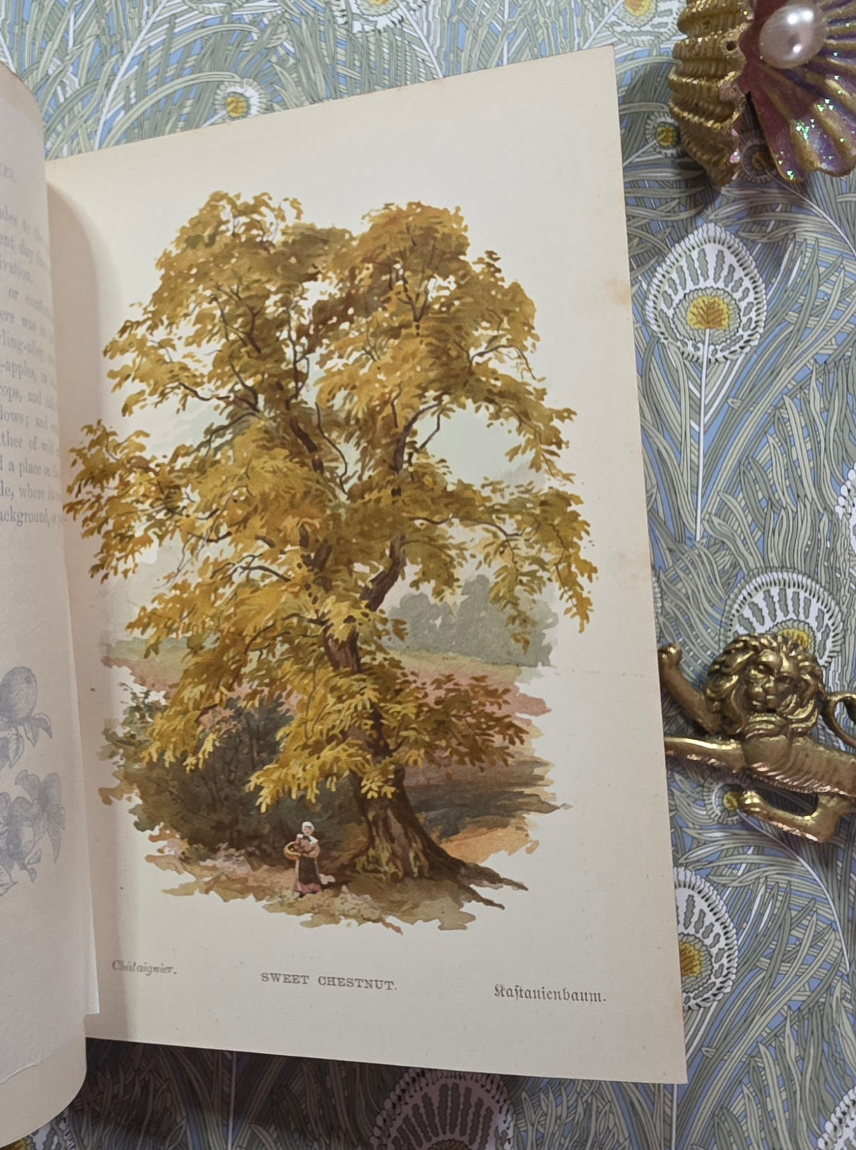 1885-1888 Familiar Trees in Two Series by GS Boulger - Illustrated Antique Books
