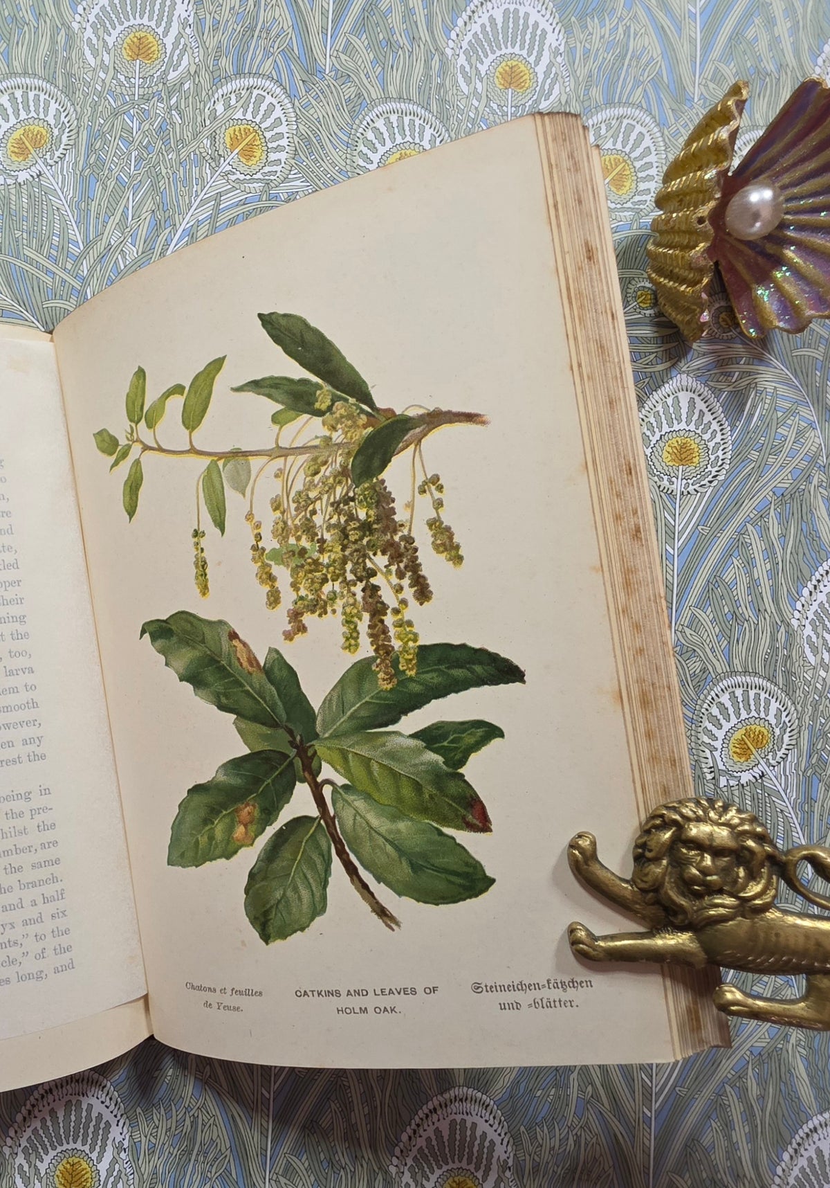 1885-1888 Familiar Trees in Two Series by GS Boulger - Illustrated Antique Books