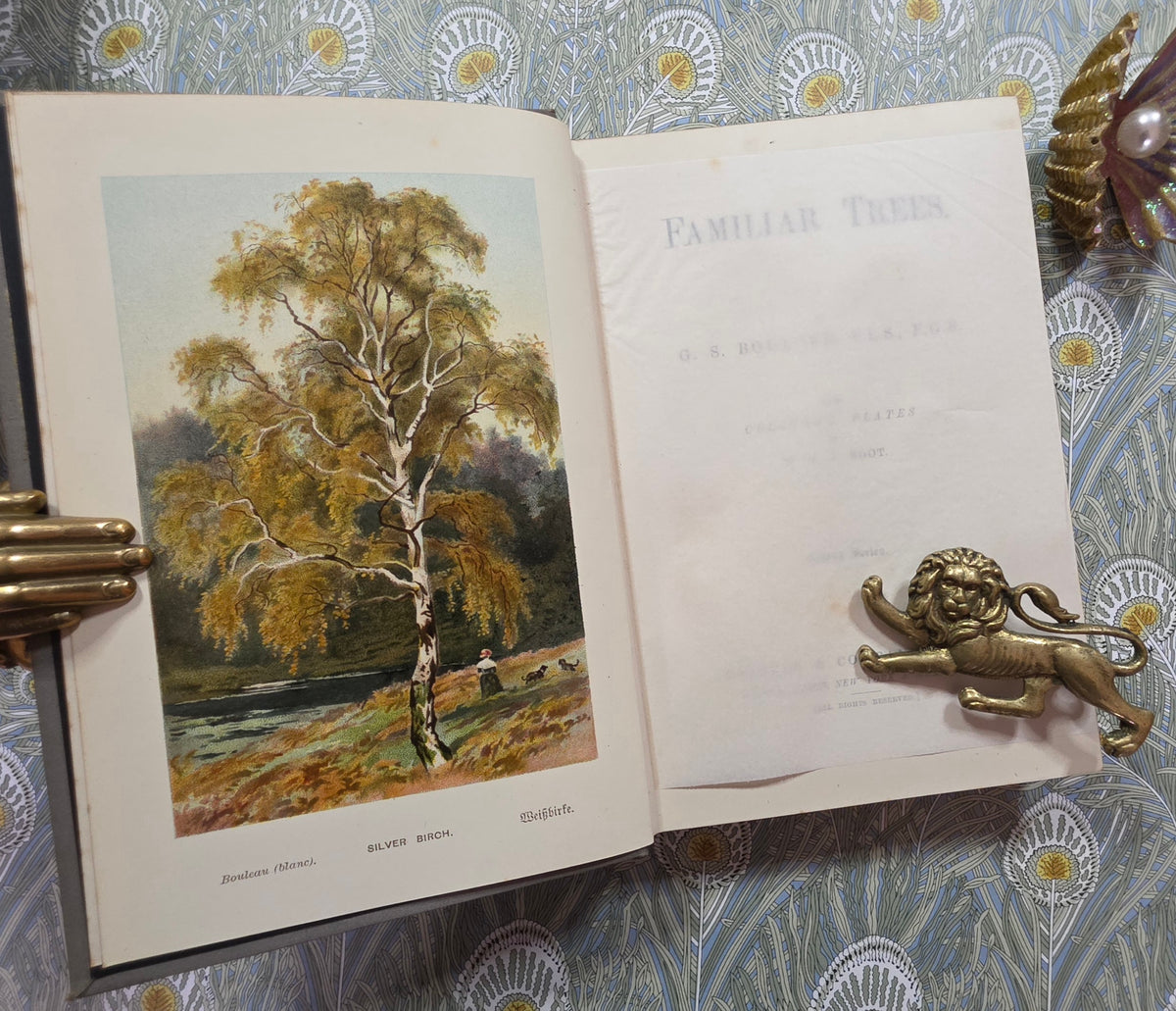 1885-1888 Familiar Trees in Two Series by GS Boulger - Illustrated Antique Books