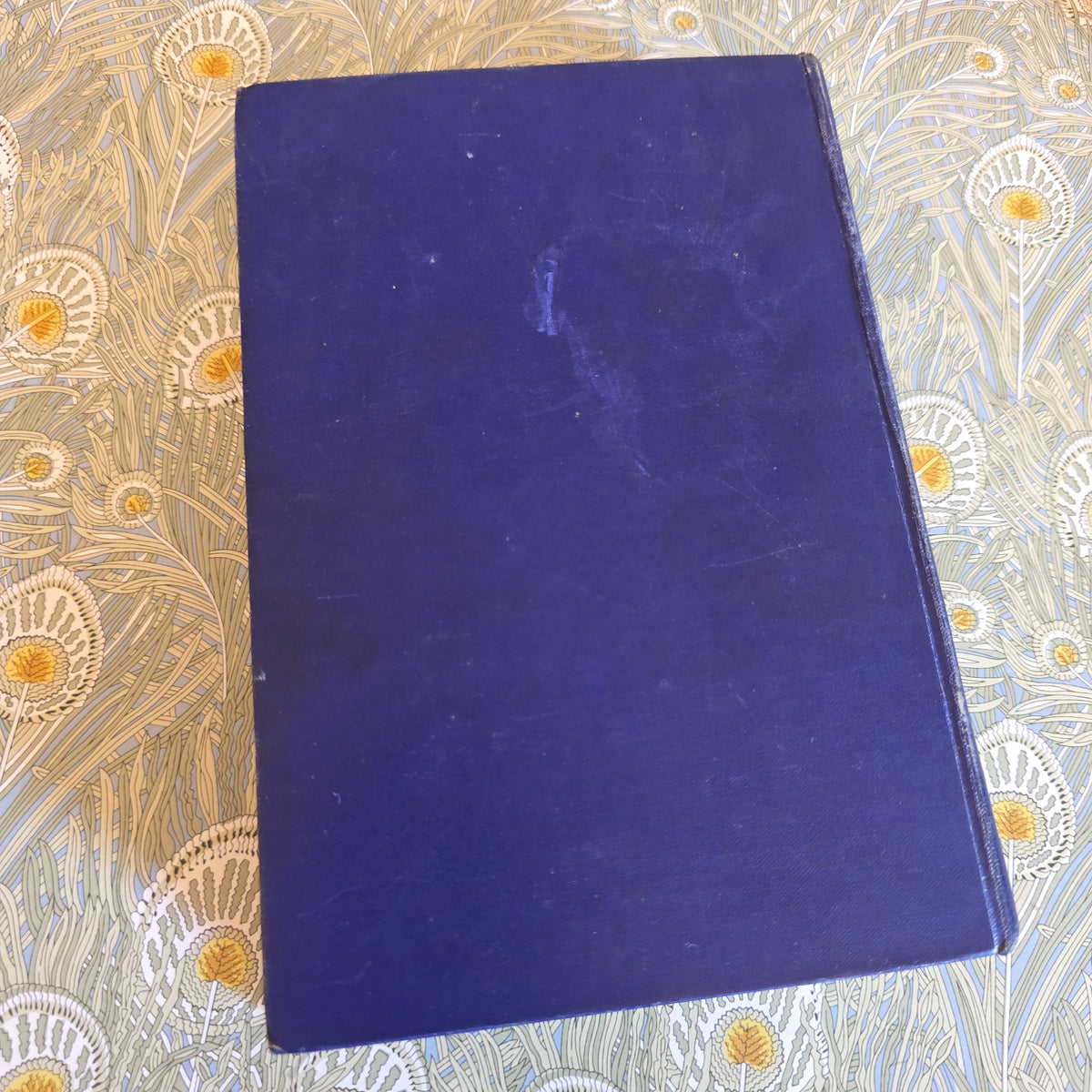 1907 1st edition, The Adventures of a Dodo - Ewen Montagu's Copy (Operation Mincemeat Association)