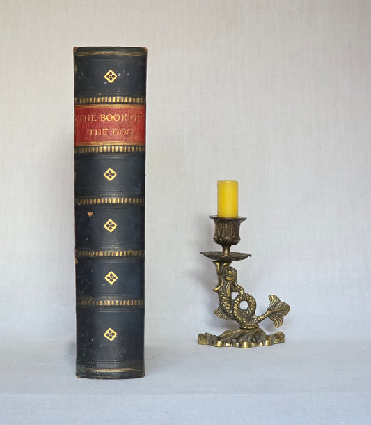The Illustrated Book of the Dog by Vero Shaw (1881) - Illustrated Antique Book