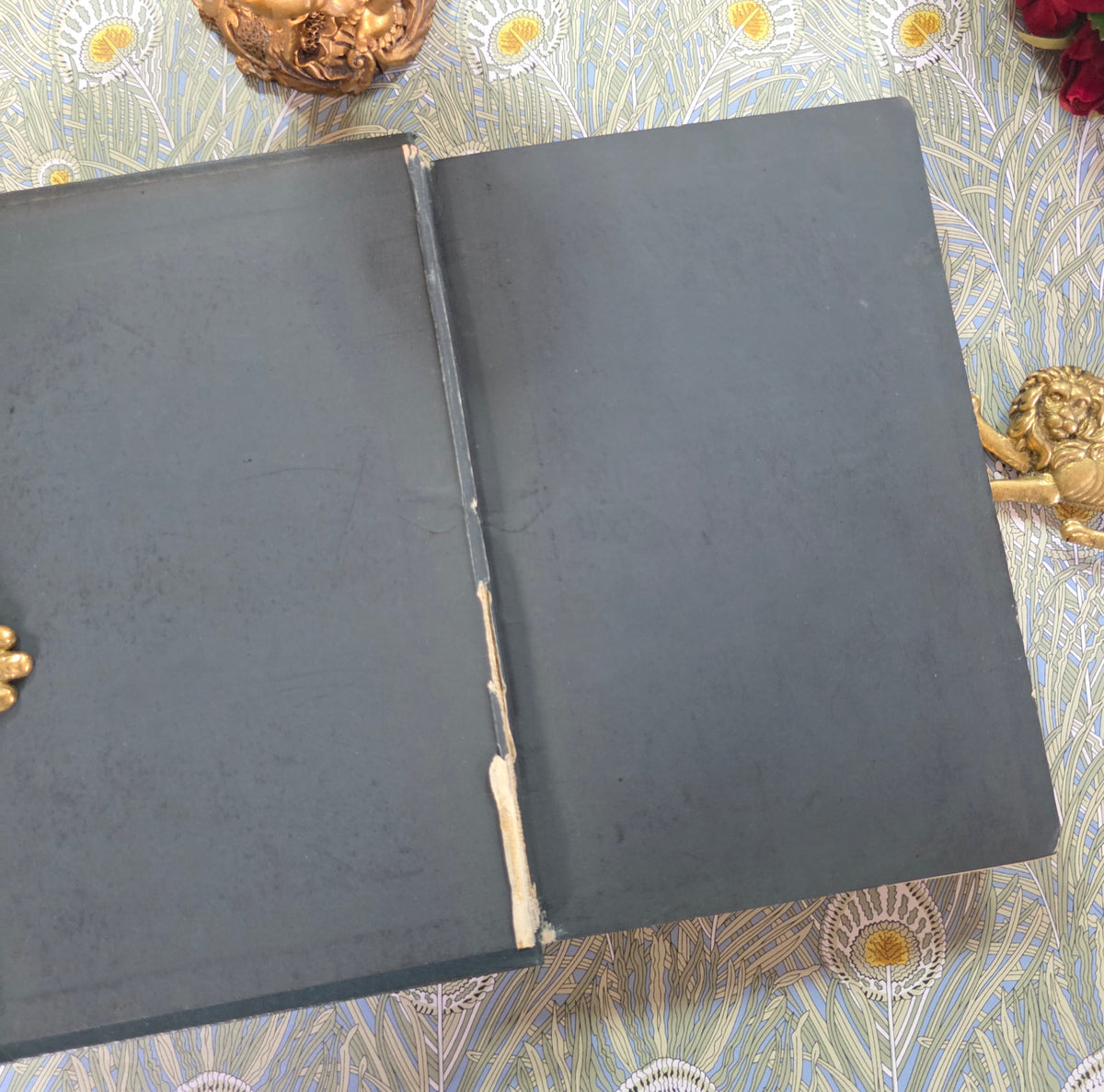 Gulliver's Travels by Jonathan Swift (1894) - Illustrated Antique Book