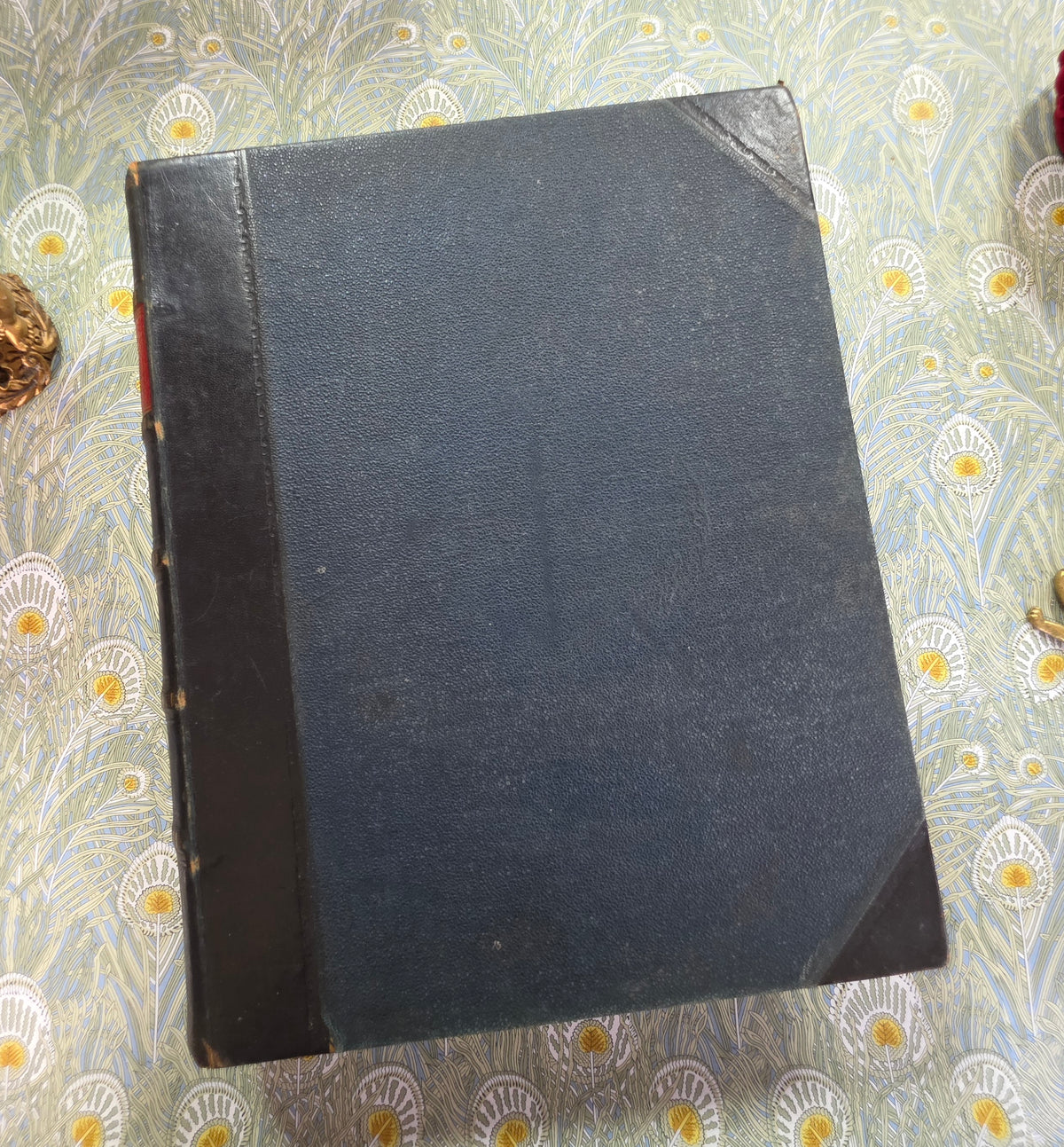 The Illustrated Book of the Dog by Vero Shaw (1881) - Illustrated Antique Book