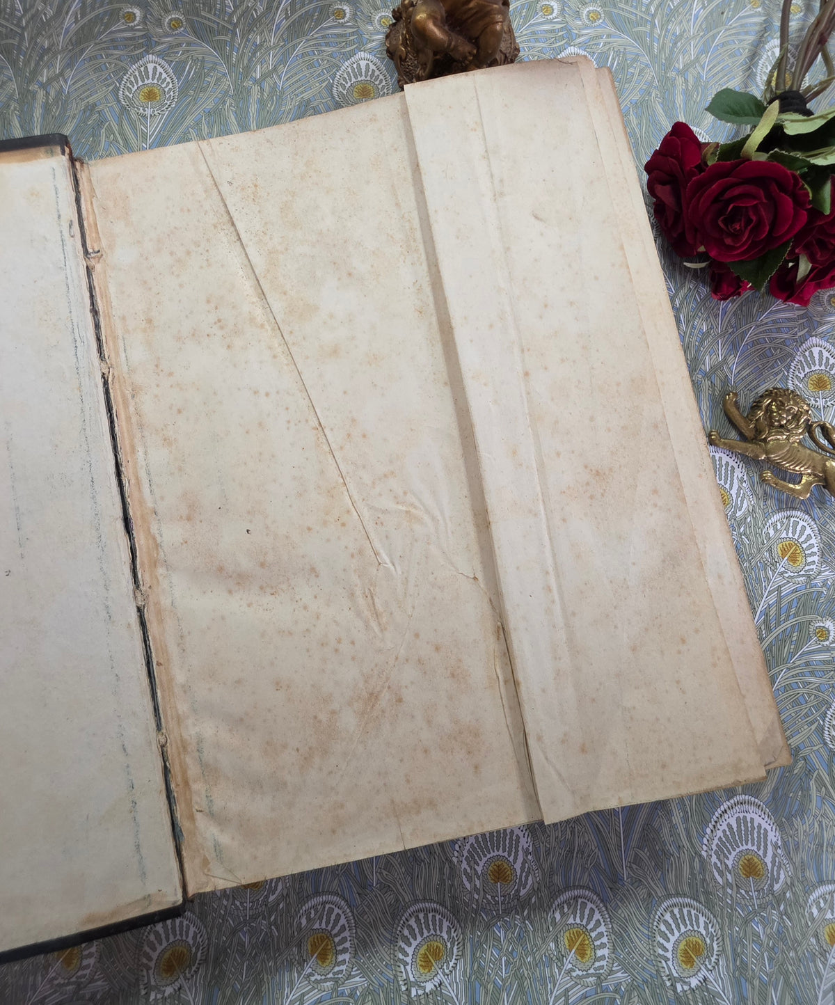 The Illustrated Book of the Dog by Vero Shaw (1881) - Illustrated Antique Book
