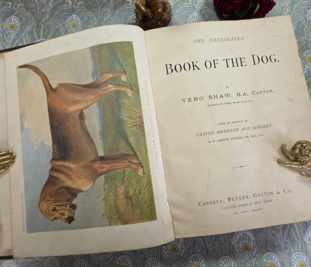 The Illustrated Book of the Dog by Vero Shaw (1881) - Illustrated Antique Book