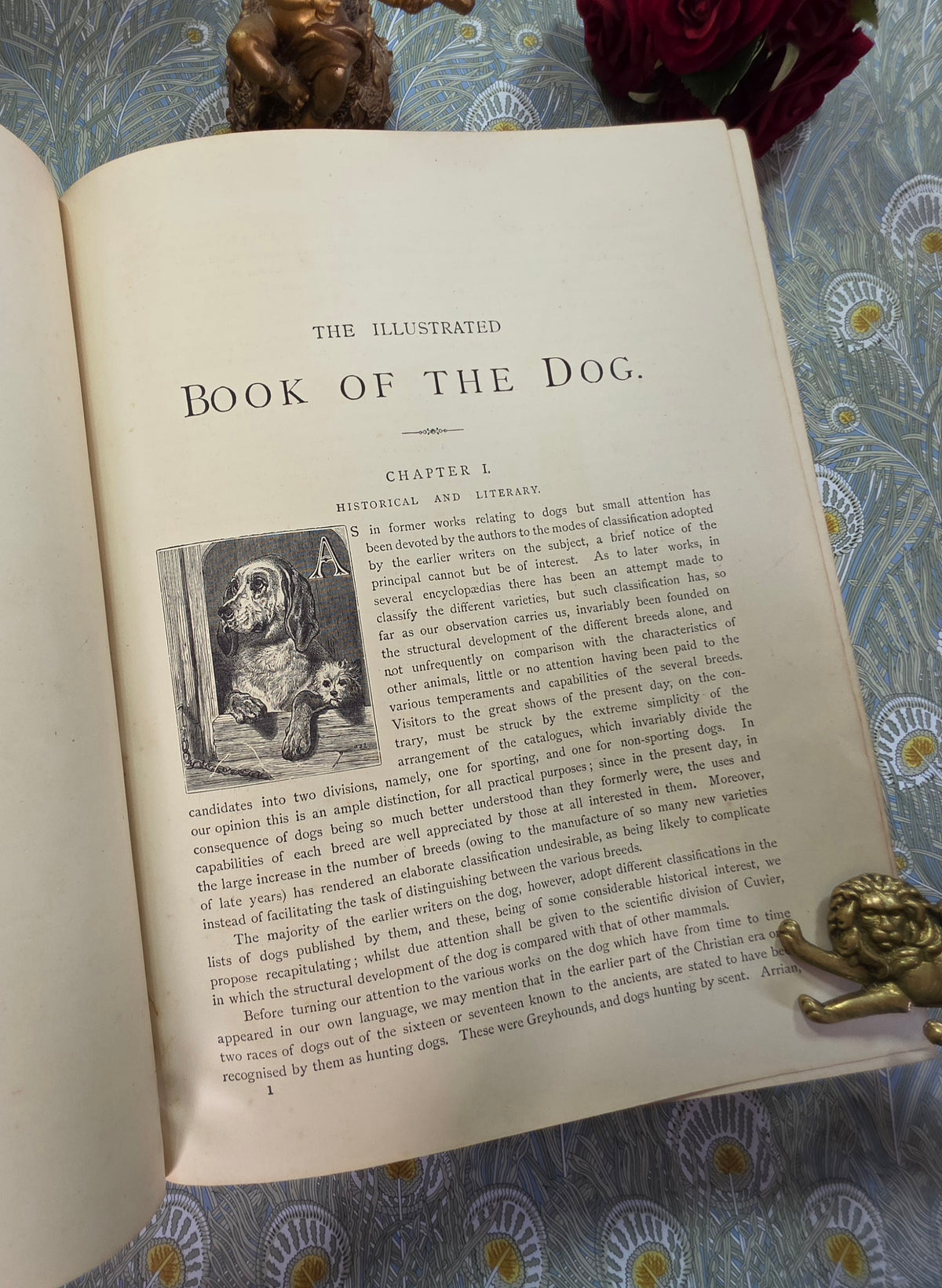 The Illustrated Book of the Dog by Vero Shaw (1881) - Illustrated Antique Book