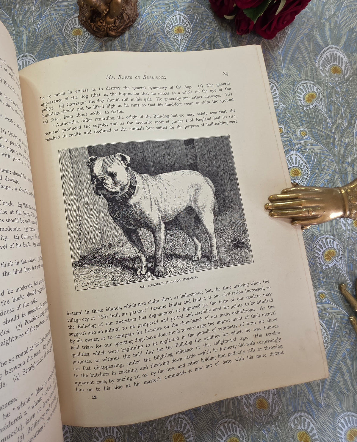 The Illustrated Book of the Dog by Vero Shaw (1881) - Illustrated Antique Book