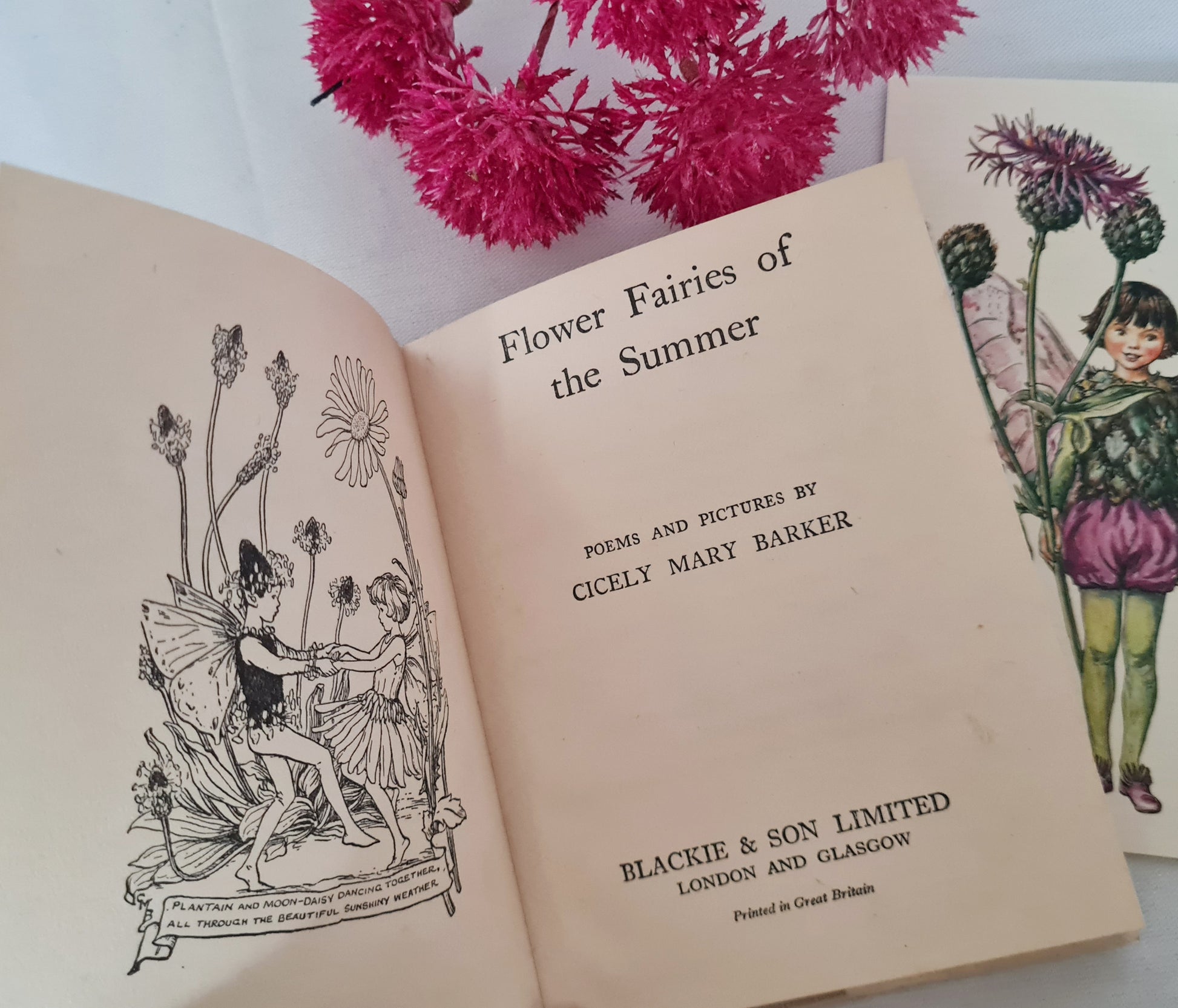 Flower Fairy Books  Cicely Mary Barker Fairy Books