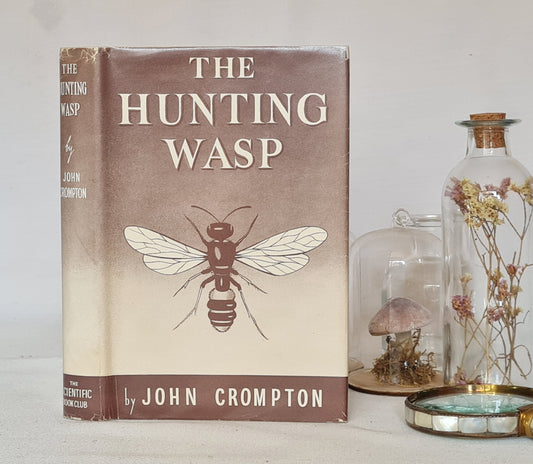 1950 The Hunting Wasp by John Crompton / The Scientific Book Club / Vintage Hardback in Very Good Condition / With Original Dust Wrapper