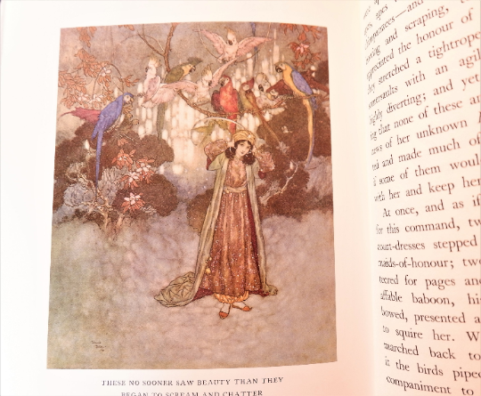 Perrault's Fairy Tales / Beautifully Illustrated by Edmund Dulac / Folio Society, London / Good Condition / Cinderella, Sleeping Beauty etc.